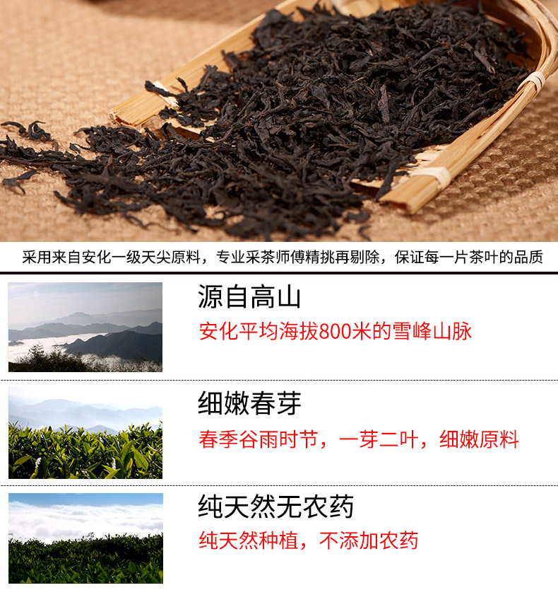 安化黑茶一级天尖料干茶